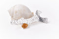 Trâm cài san hô đính đá Carnelian.