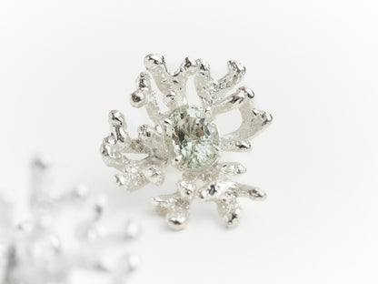 Coral Stud Earrings
