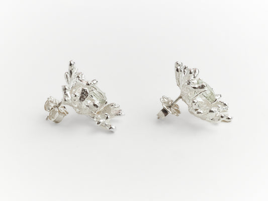 Coral Stud Earrings