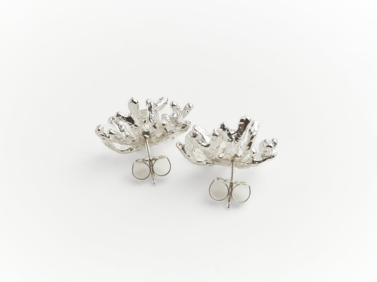 Coral Stud Earrings