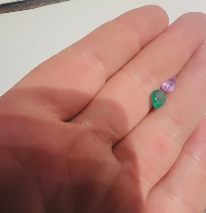 Duo
