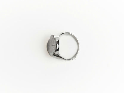 Cute Duck Engraved Signet Ring